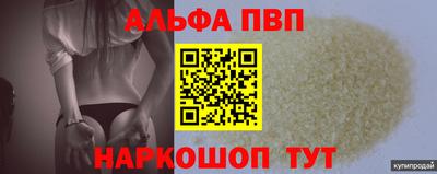спиды Гай