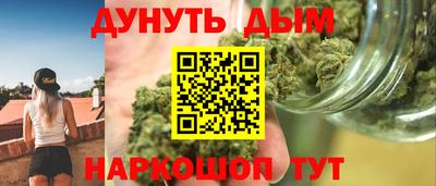 спиды Гай