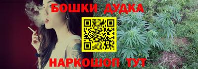 спиды Гай