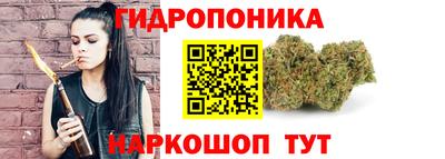спиды Гай
